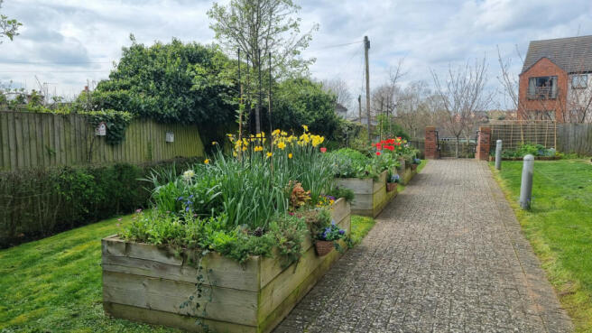 Communal Gardens