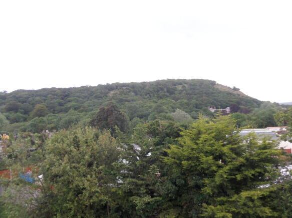 Photo 03