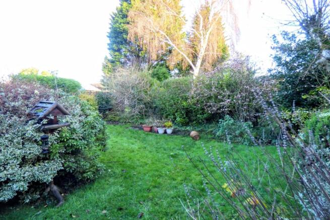 Garden 2
