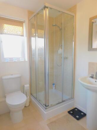28 buttercup close (4)