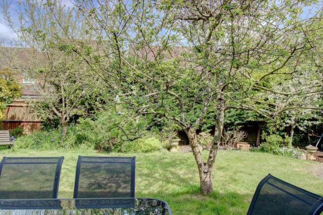 Garden 4