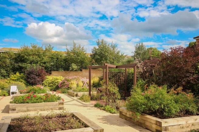 Communal Gardens