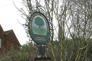 Image of Lingfield V