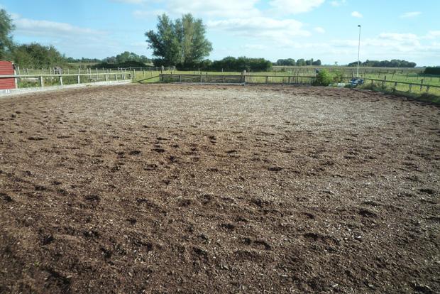 Manege