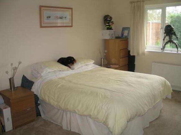 Photo 4