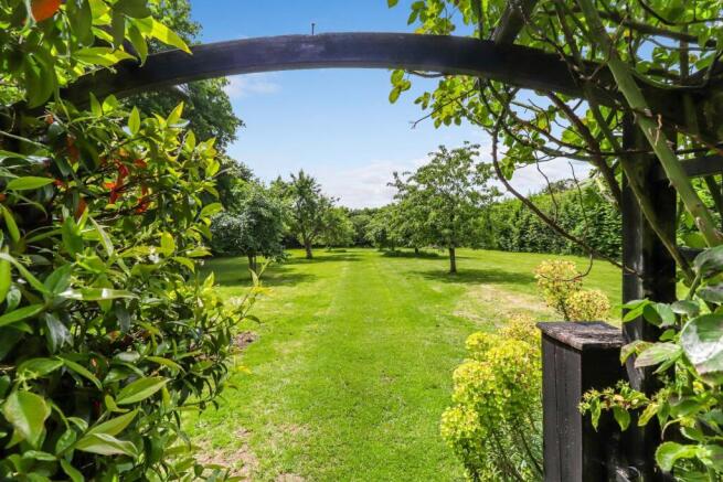 Orchard/Paddock