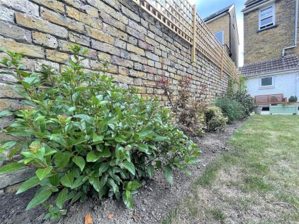 Garden (7).jpeg