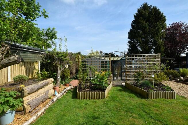 Garden 6
