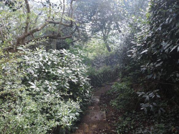 Woodland dell ...