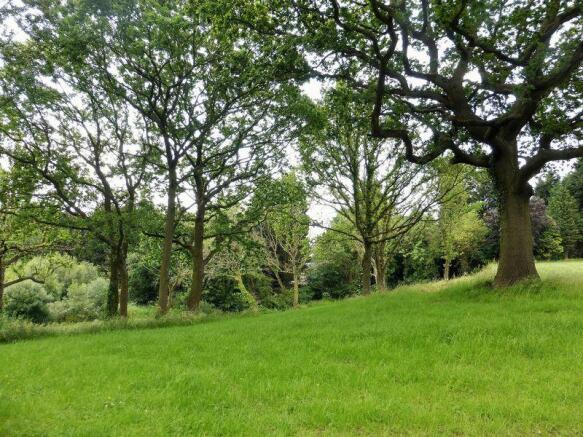Woodland Area