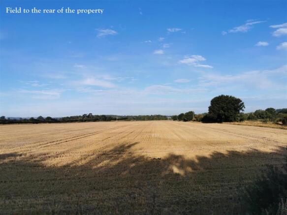 Field to rear of property.jpg