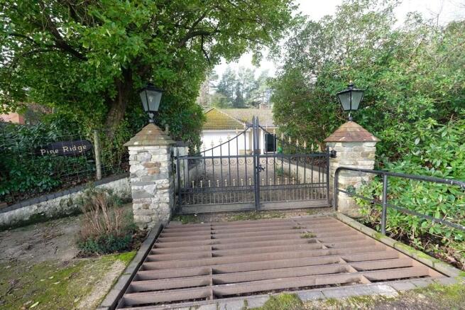 CATTLE GRID