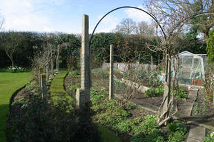 Rear Gardens