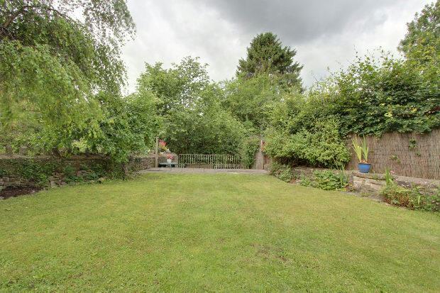 Garden.