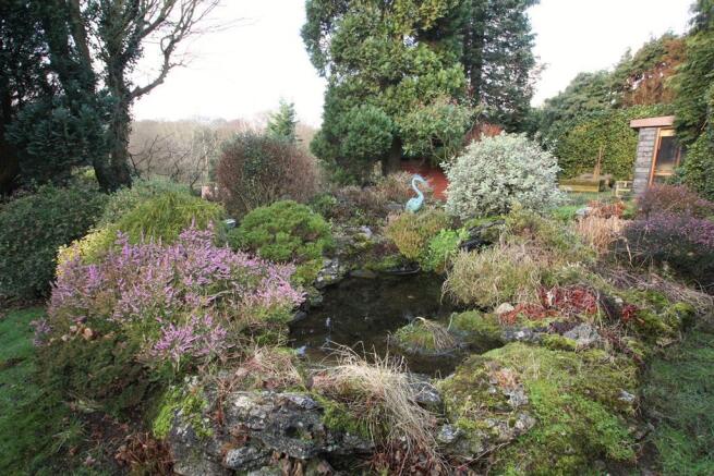 Water Feature