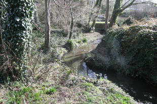 Stream opposite the