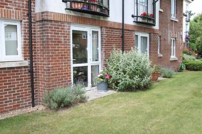 Photo 11