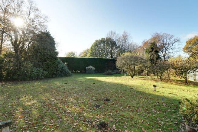 Garden at Back