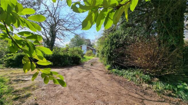 Driveway & Front