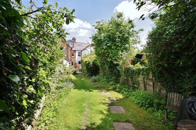 Garden shot 3