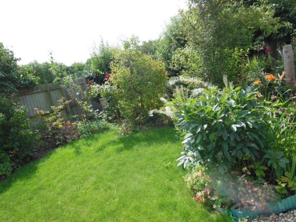 Garden b.JPG