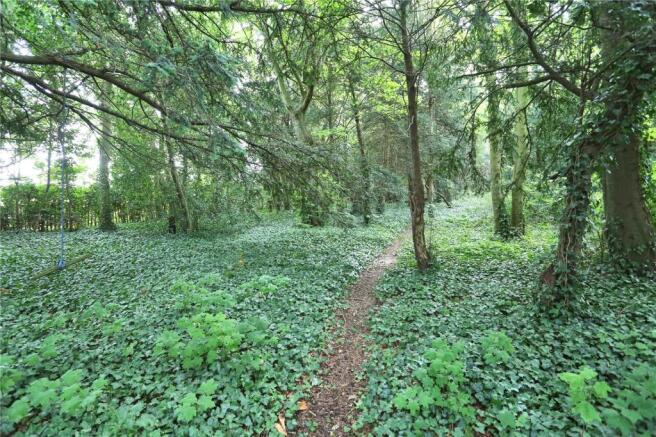 Woodland