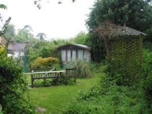 garden shot