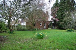 Side Garden