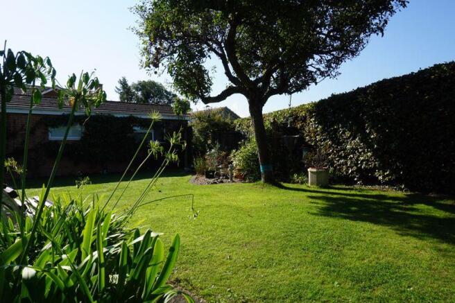 Rear garden