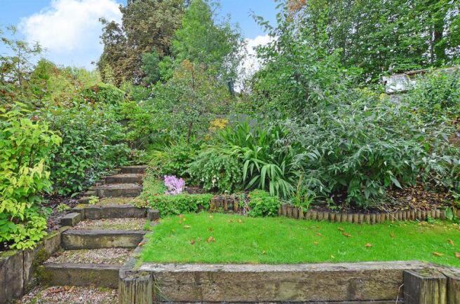 Part of Garden