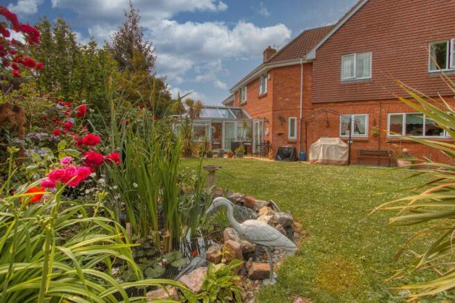 Garden at Back
