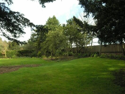 Garden Area