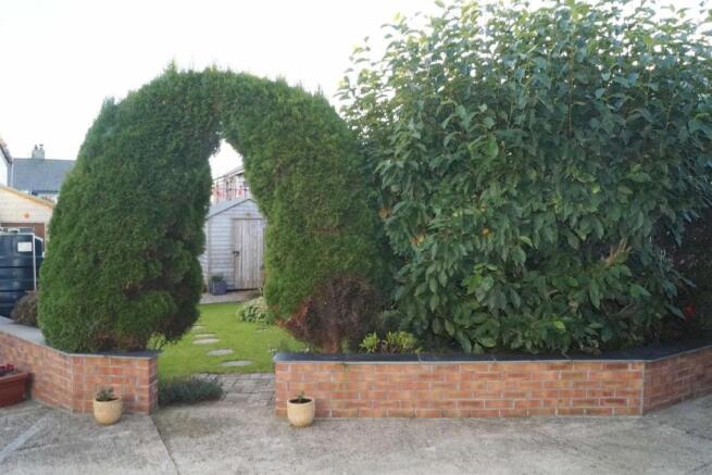 Photo 11