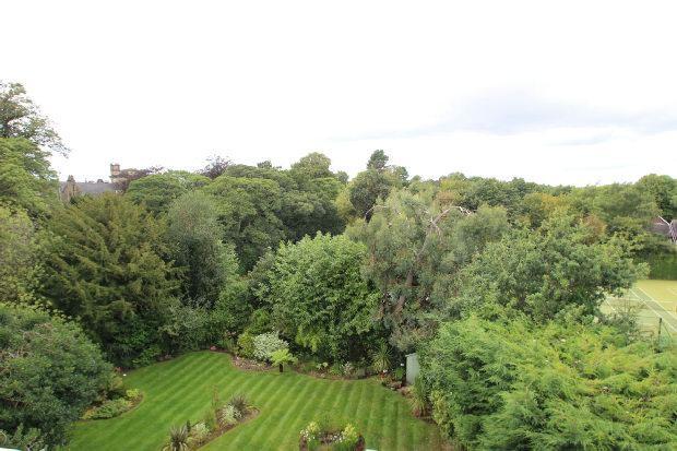 View From Roof Terra