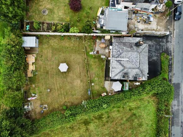 Birds Eye
