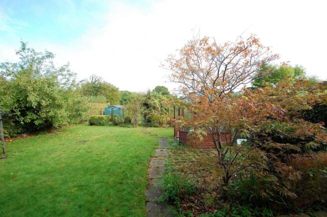 Back Garden