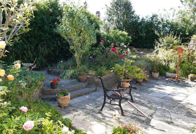 Rear Garden in bloom
