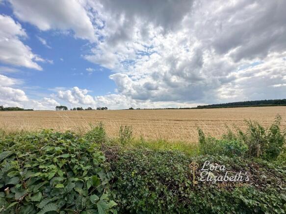 Field Views