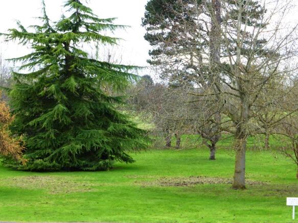 Grounds 1