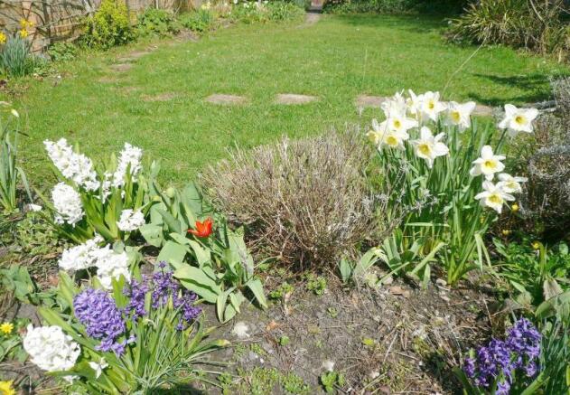 A colourful border