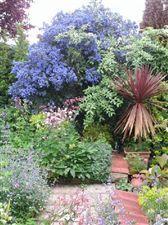Photo 20