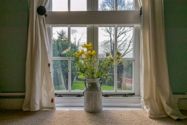 bedview.jpg