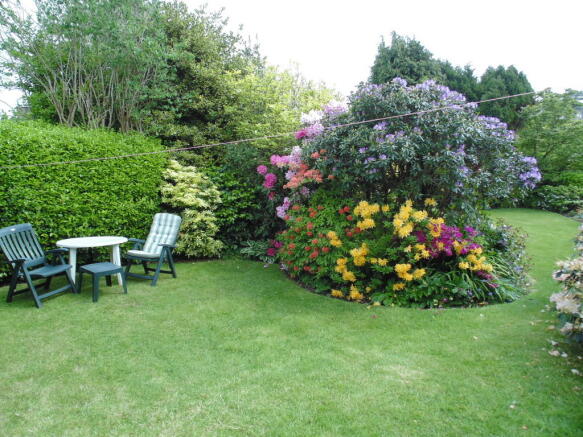 Photo 17