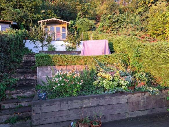 Rear garden surrounded by trees