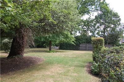 Communal Garden