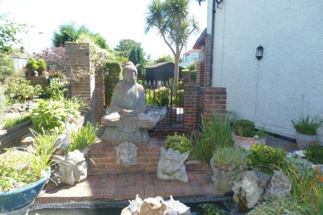 Garden Shot 6