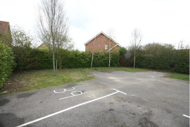 Rear Parking