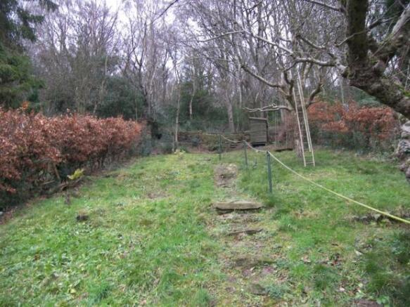 Rear Garden Lawn