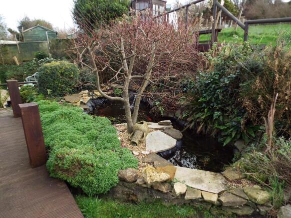 Pond