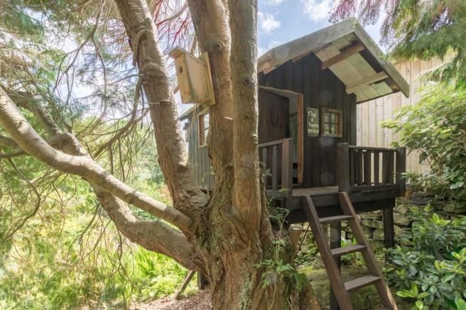 Tree house